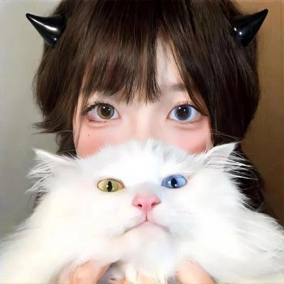 我是猫