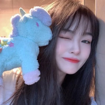 一只小蜘蛛